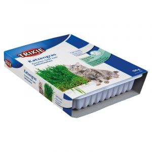 Trixie Cat Grass (bowl) papildbarība kaķiem sēklas  kaķu zāle100g
