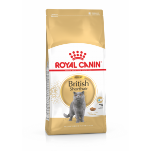 Royal Canin FBN British Shorthair 10kg