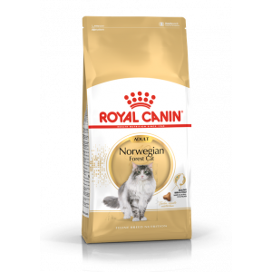Royal Canin FBN Norwegian Forest Cat 10kg
