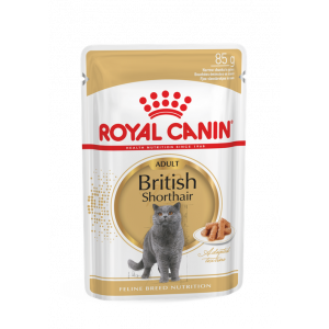Royal Canin FBN British Shorthair Wet konservi kaķiem mērcē 85gx12