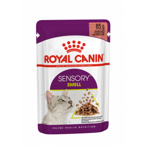 Royal Canin FHN Sensory Smell in gravy konservi kaķiem 12x85g
