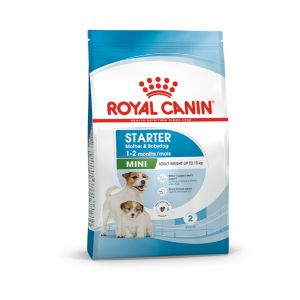 Royal Canin SHN Mini Starter 8kg